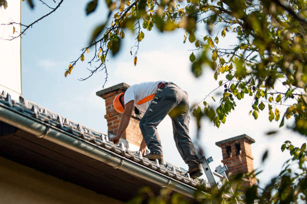 Best Roof Repair Services  in Leona Valley, CA