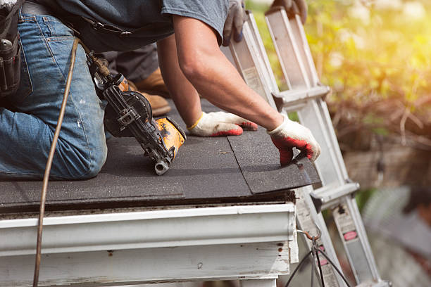 Best Roof Gutter Cleaning  in Leona Valley, CA